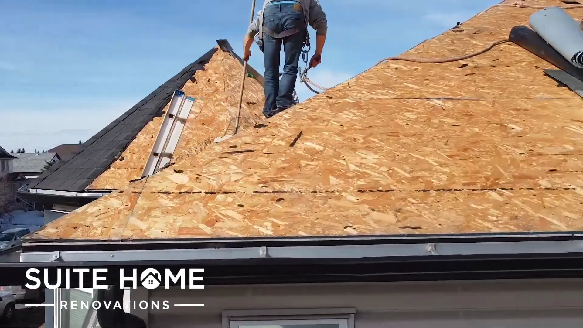 Roofer in a fall arrest harness and lanyard bent to the tear-off on a two storey Calgary roof