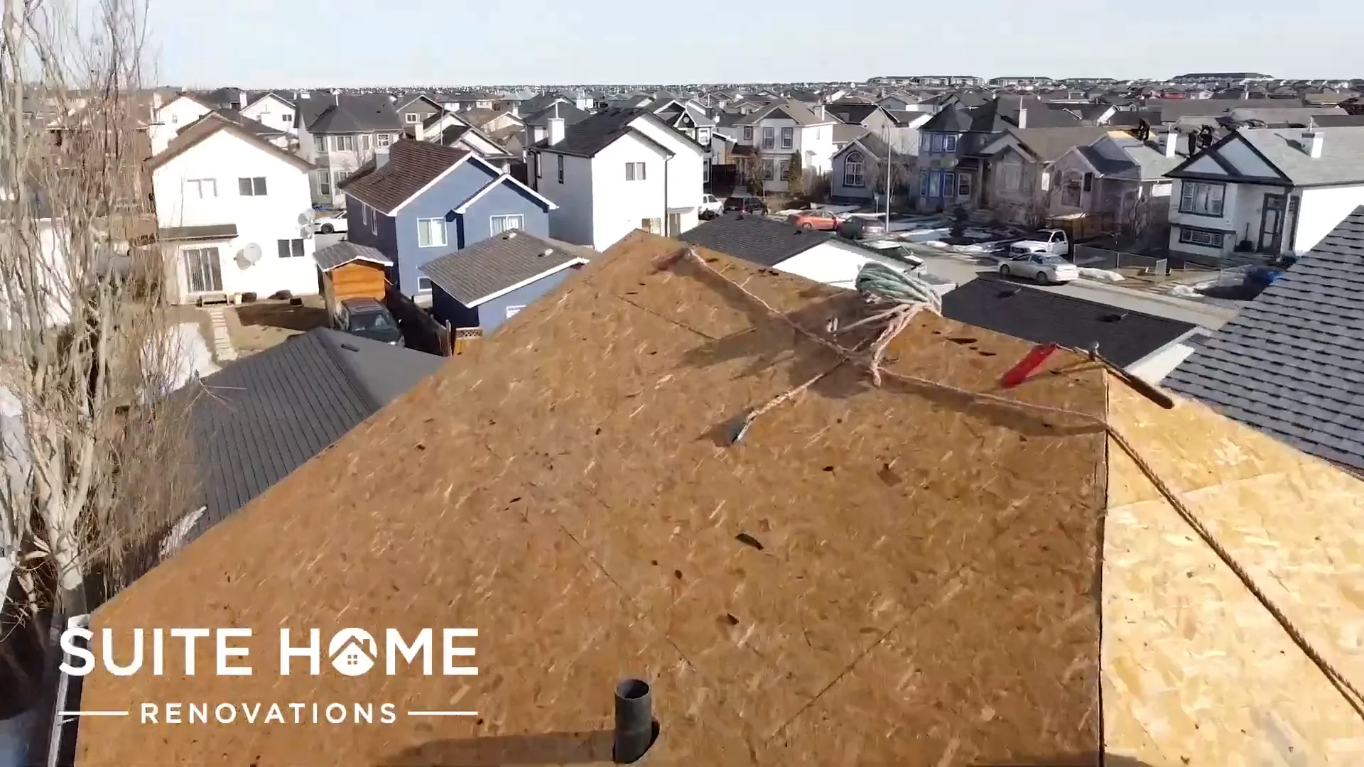 Aerial view of a Calgary roof stripped to bare OSB decking with two harnessed workers and the surrounding neighbourhood behind