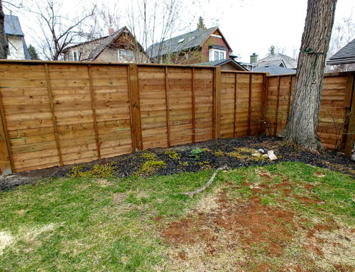 Suite Home Renovations – Large Fence